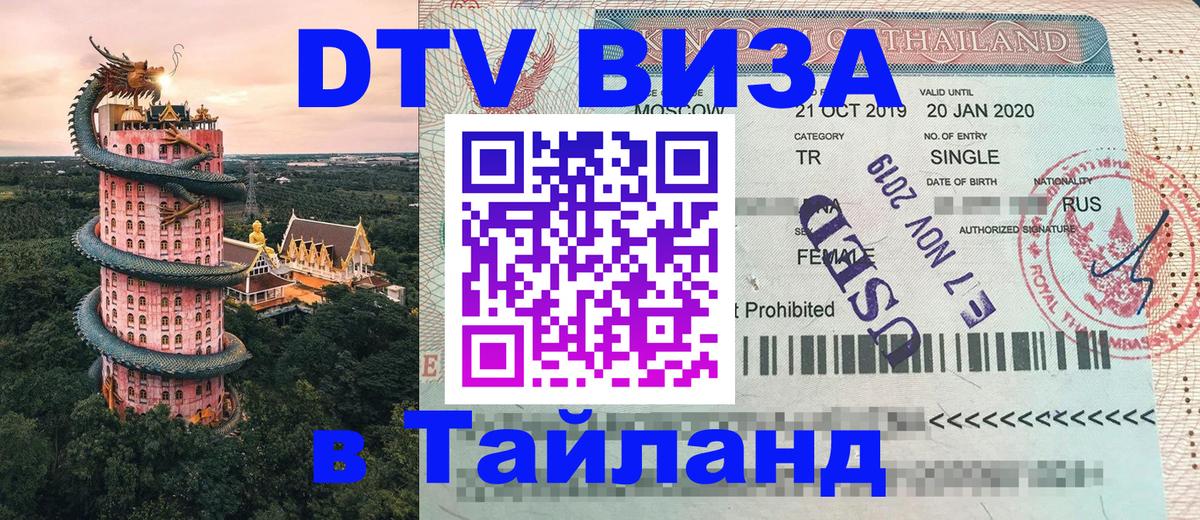 Сколько стоит DTV виза — актуальные цены, оформление даже без документов - 19.11.2025 